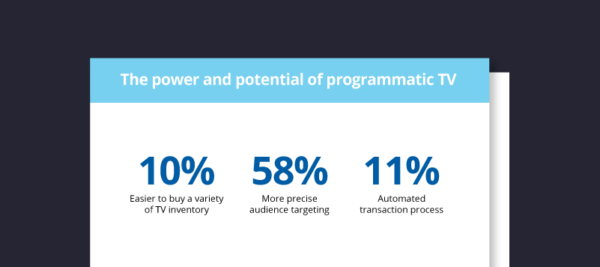 Preview of the infographic titled, "The Power and Potential of Programmatic TV"