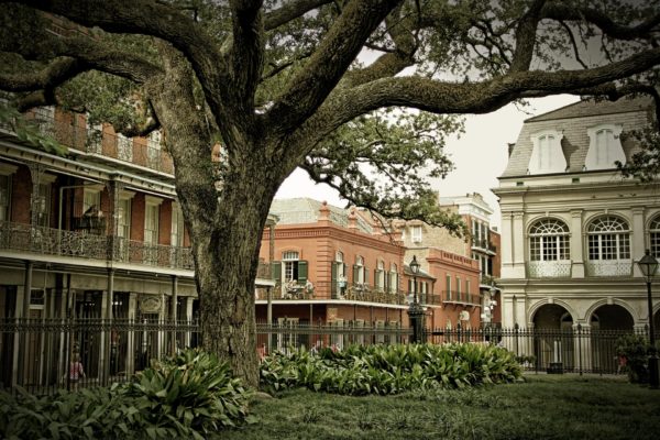 Media Finance Focus New Orleans